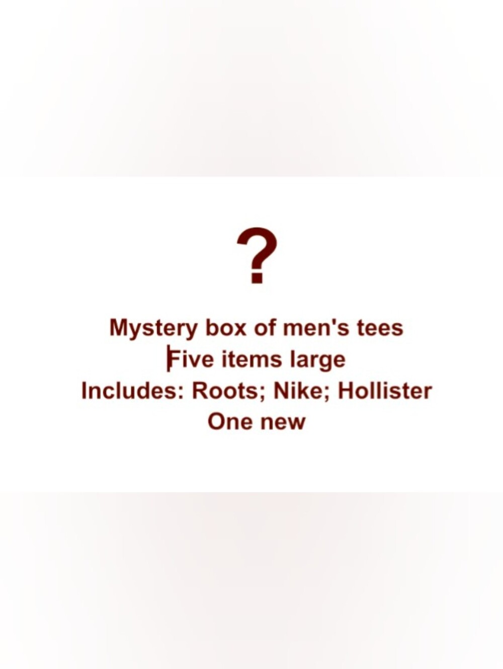 Mystery Bundle (5 Items, One New) All L (Including Nike, Hollister And Roots)
